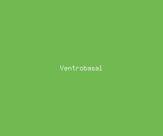 ventrobasal meaning, definitions, synonyms