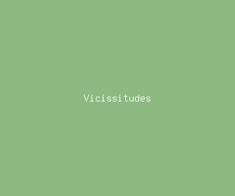 vicissitudes meaning, definitions, synonyms