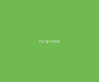 virginale meaning, definitions, synonyms