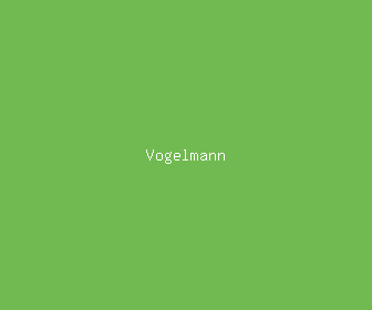vogelmann meaning, definitions, synonyms