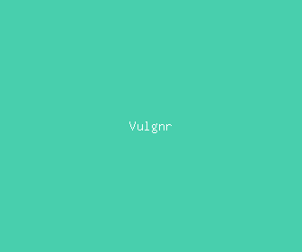 vulgnr meaning, definitions, synonyms