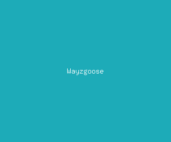 wayzgoose meaning, definitions, synonyms