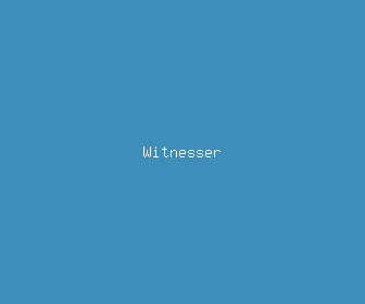 witnesser meaning, definitions, synonyms