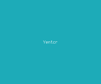 yentcr meaning, definitions, synonyms