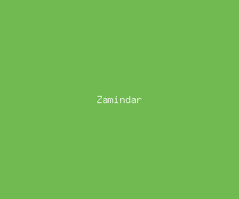 zamindar meaning, definitions, synonyms