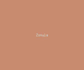 zonula meaning, definitions, synonyms