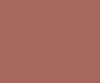 Blast Off Bronze A6675d Rgb 166 103 93 Color Informations