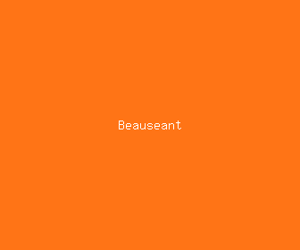 beauseant meaning, definitions, synonyms