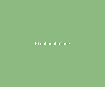 bisphosphatase meaning, definitions, synonyms