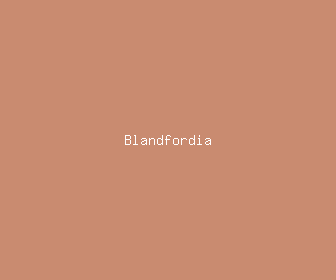 blandfordia meaning, definitions, synonyms
