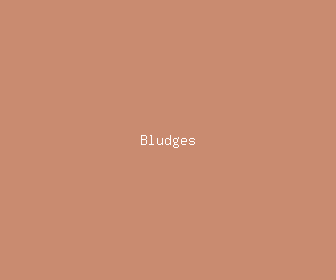 bludges meaning, definitions, synonyms