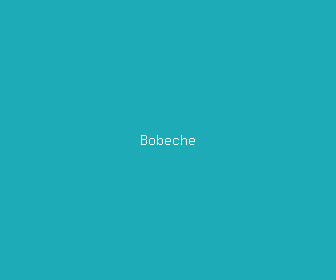 bobeche meaning, definitions, synonyms