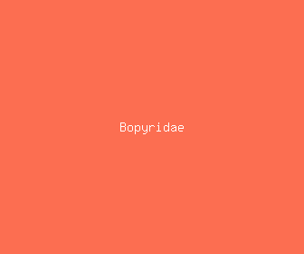 bopyridae meaning, definitions, synonyms