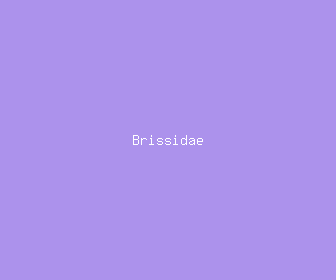 brissidae meaning, definitions, synonyms