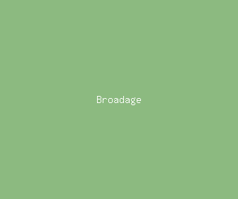 broadage meaning, definitions, synonyms