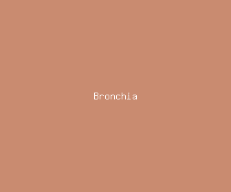 bronchia meaning, definitions, synonyms