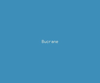 bucrane meaning, definitions, synonyms