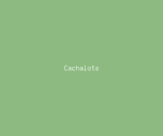 cachalots meaning, definitions, synonyms