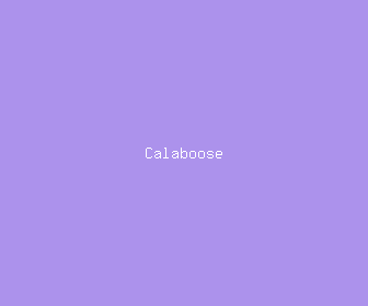 calaboose meaning, definitions, synonyms