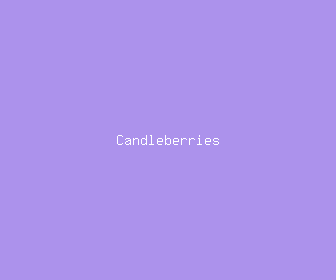 candleberries meaning, definitions, synonyms
