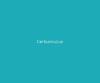 carbunculus meaning, definitions, synonyms