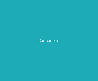 carcanets meaning, definitions, synonyms