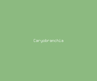 caryobranchia meaning, definitions, synonyms