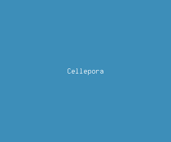 cellepora meaning, definitions, synonyms