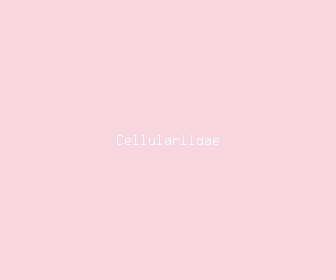 cellulariidae meaning, definitions, synonyms