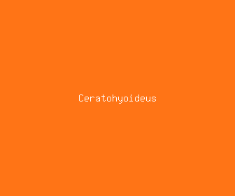 ceratohyoideus meaning, definitions, synonyms