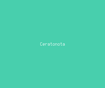 ceratonota meaning, definitions, synonyms