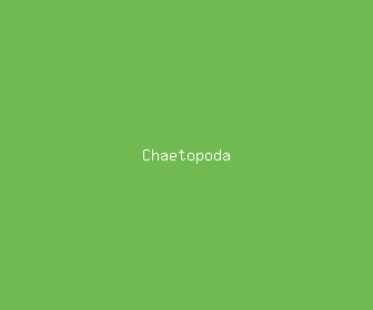 chaetopoda meaning, definitions, synonyms