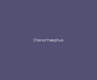 chenorhamphus meaning, definitions, synonyms