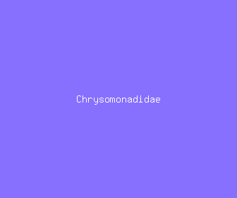 chrysomonadidae meaning, definitions, synonyms