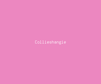 collieshangie meaning, definitions, synonyms