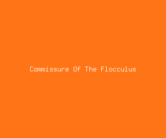 commissure of the flocculus meaning, definitions, synonyms