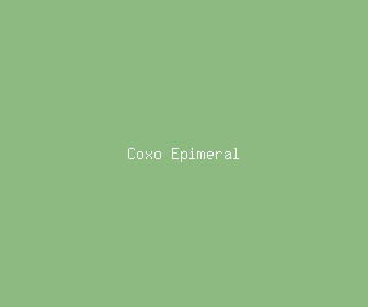 coxo epimeral meaning, definitions, synonyms
