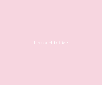 crossorhinidae meaning, definitions, synonyms