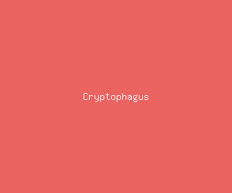 cryptophagus meaning, definitions, synonyms