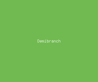demibranch meaning, definitions, synonyms