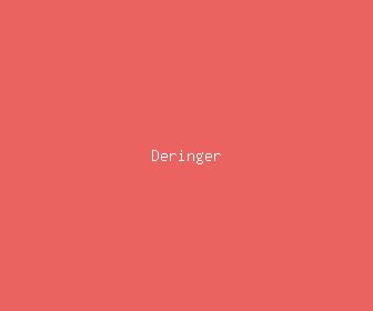 deringer meaning, definitions, synonyms