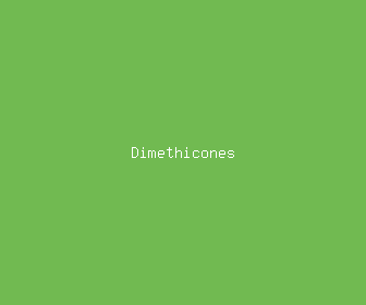dimethicones meaning, definitions, synonyms