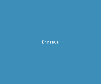 drassus meaning, definitions, synonyms