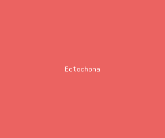 ectochona meaning, definitions, synonyms