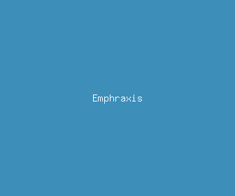 emphraxis meaning, definitions, synonyms
