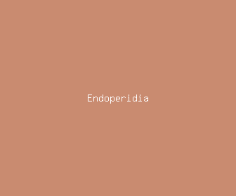 endoperidia meaning, definitions, synonyms