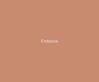 endozoa meaning, definitions, synonyms