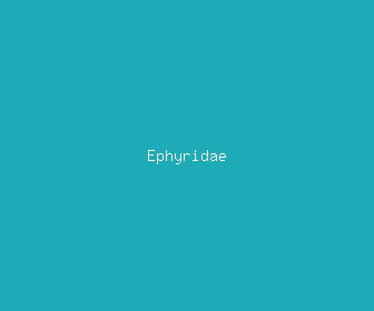 ephyridae meaning, definitions, synonyms