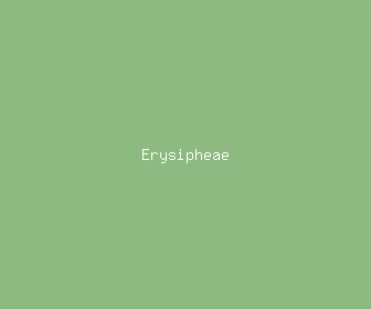 erysipheae meaning, definitions, synonyms