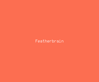 featherbrain meaning, definitions, synonyms